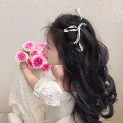 查理·布拉沃