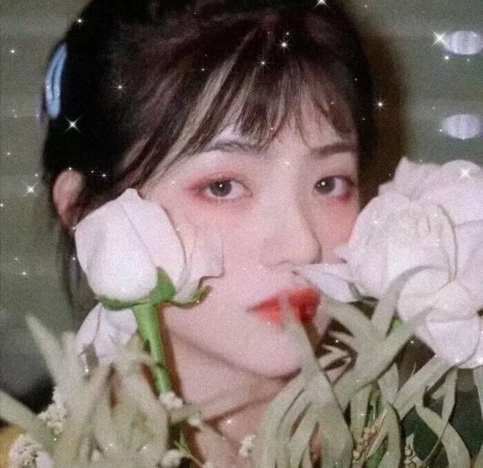 歌舞飞扬