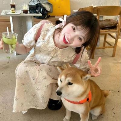 小鹿斑比2